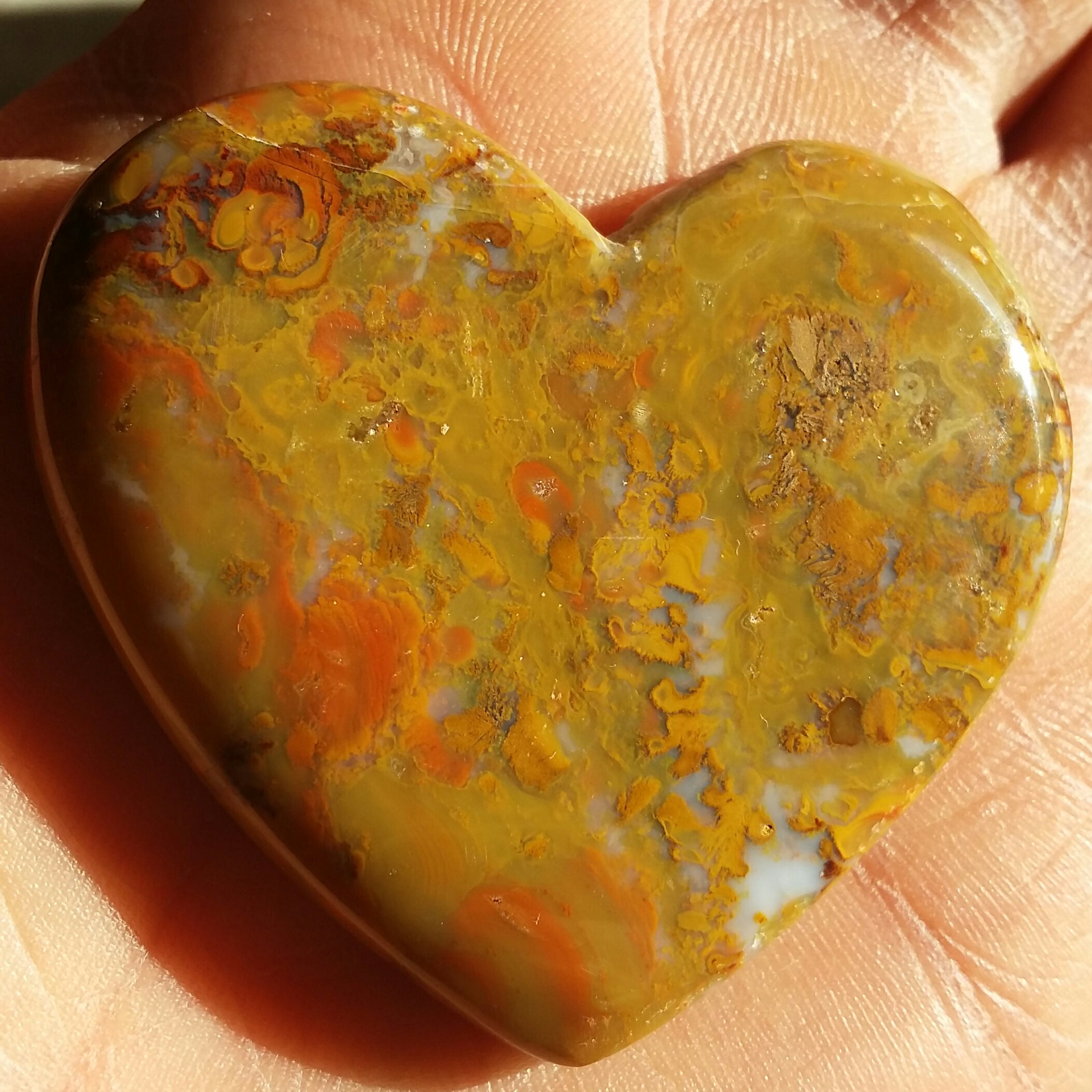 نگین شجر پاییزه تراش قلب شاهکار خلقت خوش رنگ و بسیار دیدنی خاص