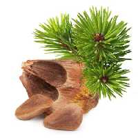 خرید و دانلود عکس Food-Part-17 کد 19286 | پیک فاکس | Pic Fox