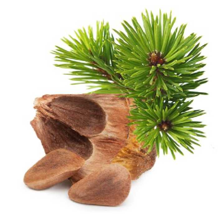 خرید و دانلود عکس Food-Part-17 کد 19286 | پیک فاکس | Pic Fox