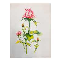 تابلو نقاشی آبرنگ طرح گل