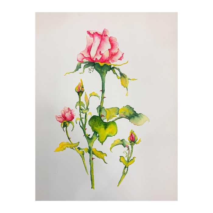 تابلو نقاشی آبرنگ طرح گل