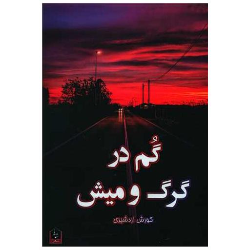 کتاب گم در گرگ و میش اثر کوروش اردشیری