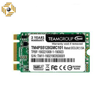 اس اس دی اینترنال تیم گروپ مدل TM4PS5128GMC121 ظرفیت 128 گیگابایت