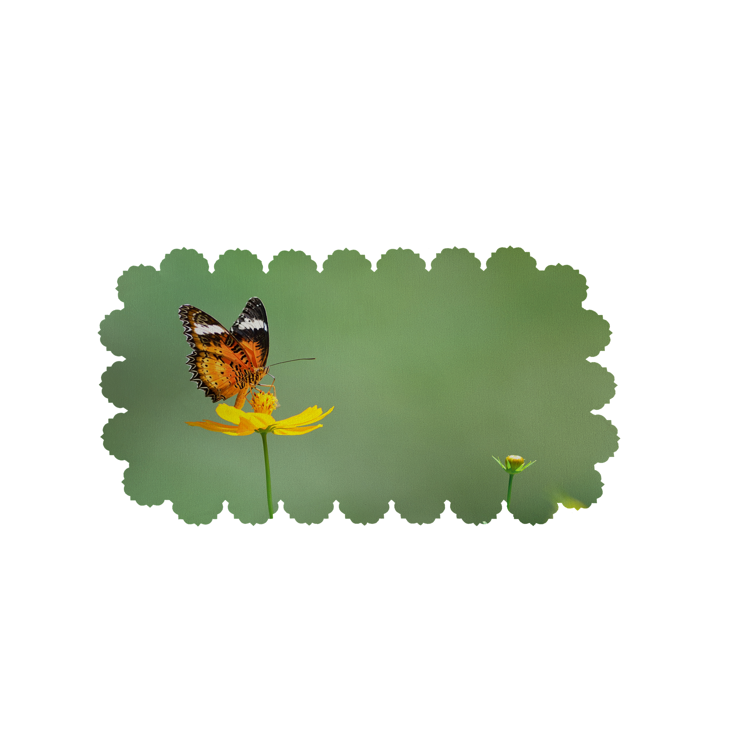 رومیزی طرح پروانه کد 6213R