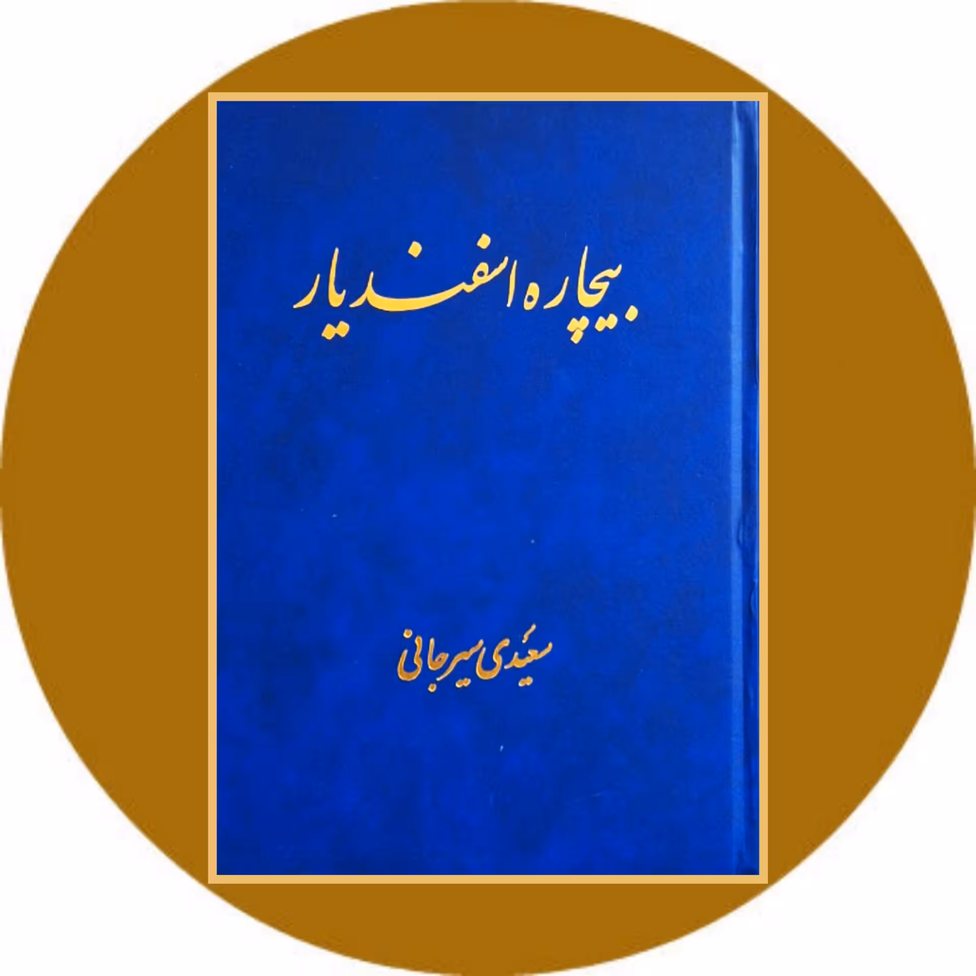 کتاب بیچاره اسفندیار - خرید با تخفیف چهل درصد ازکتاب دایره قهوه ای -