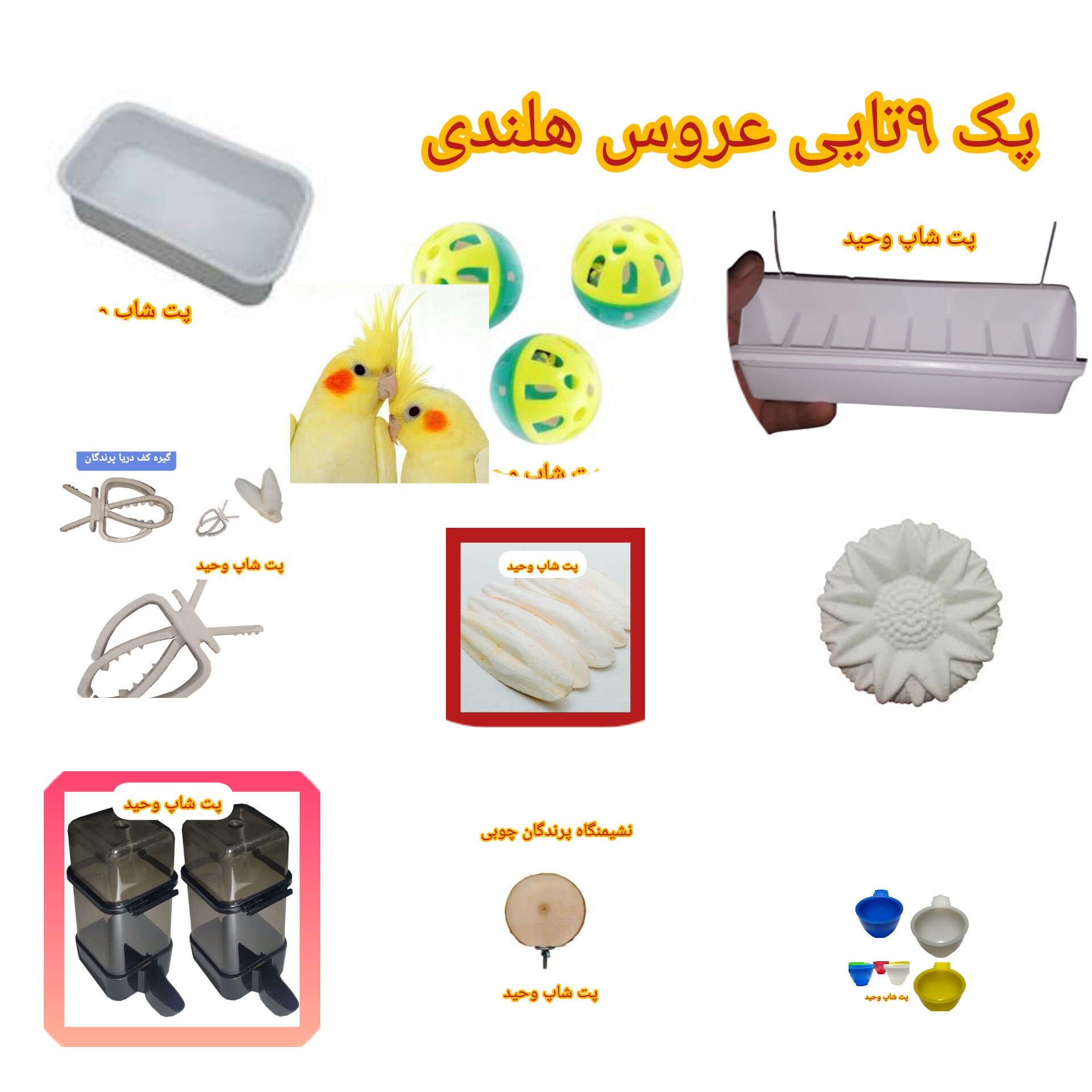 پک 9تایی عروس هلندی وطوطی سانان وپرندگان