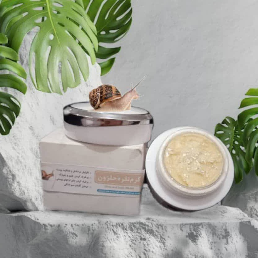 کرم نقره حلزون(کاسه ای)