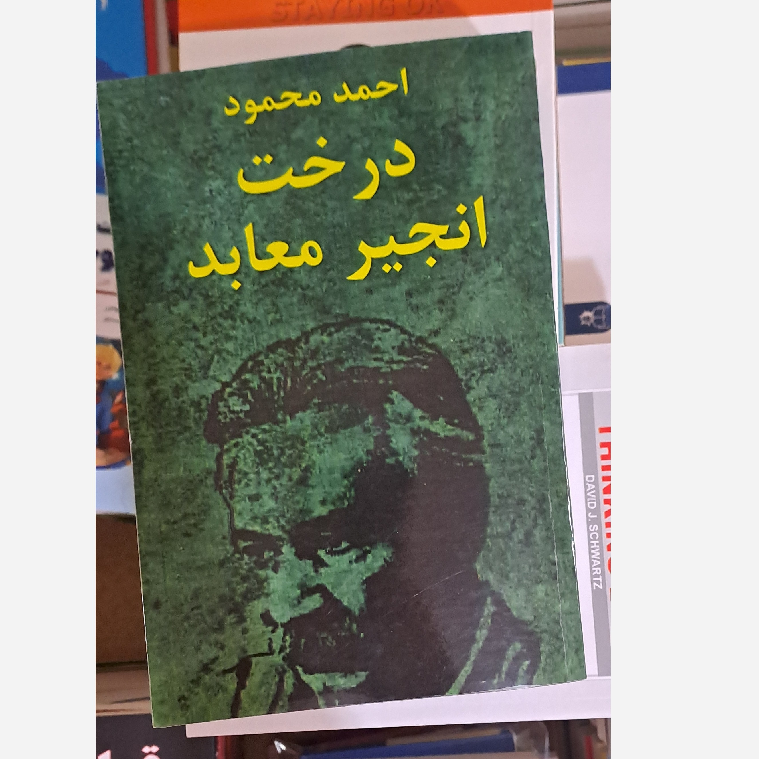 کتاب درخت انجیر معابد اثر احمد محموددو جلدی