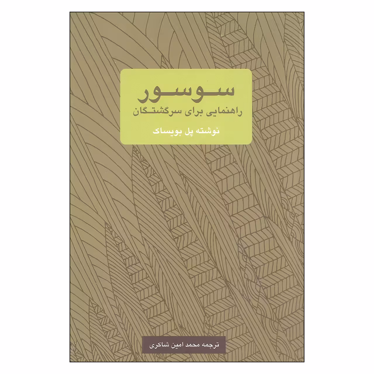 کتاب سوسور راهنمایی برای سرگشتگان اثر پل بویساک نشر یک فکر