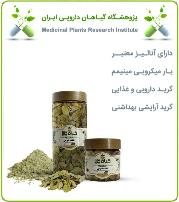 برگ علف خرس خشک یا پودری بسته بندی