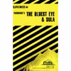 کتاب The Bluest Eye and Sula اثر Louisa S Nye and Rosetta James انتشارات تازه‌ها