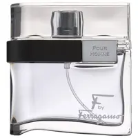 ادو تویلت مردانه سالواتوره فراگامو مدل F By Ferragamo Pour Homme حجم 100ml