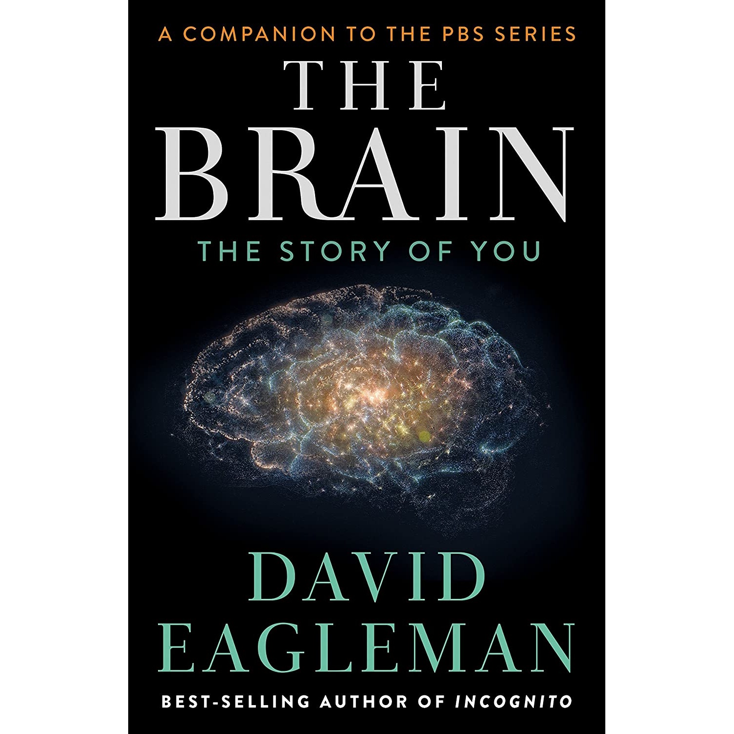 کتاب The Brain اثر David Eagleman انتشارات Pantheon