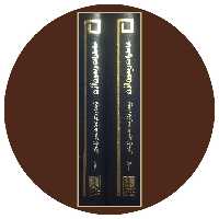 کتاب خاطرات ریمون آرن (دوجلد) - خرید با تخفیف چهل درصد از کتاب دایره قهوه ای -