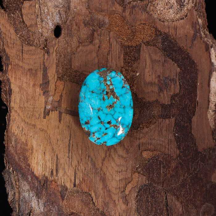 نگین فیروزه شجری کد 11474 - جواهری مشاهیر