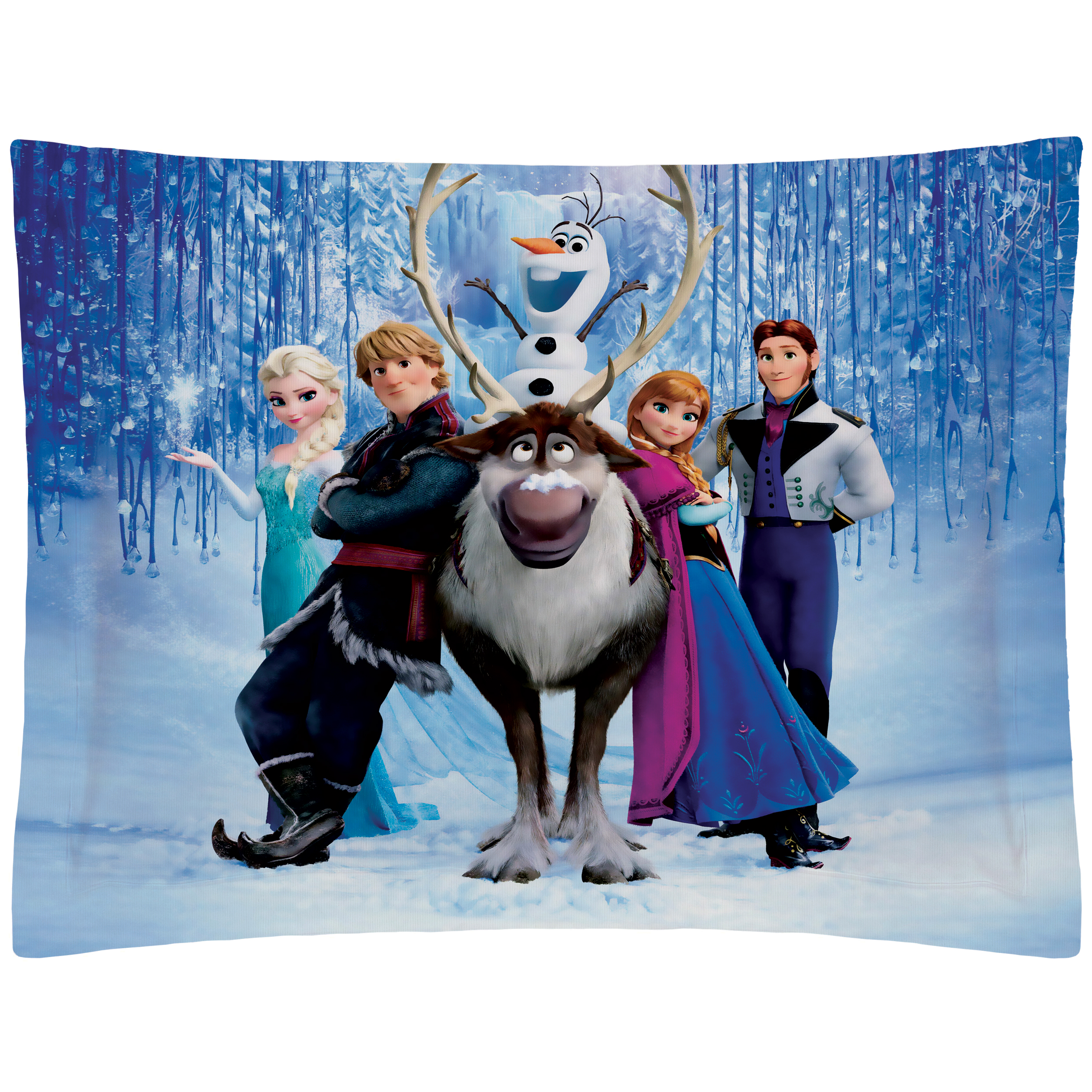 رو بالشی رنس مدل PP1-20604