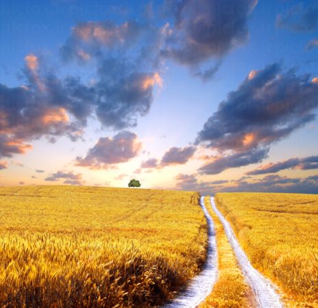 خرید و دانلود عکس IranBCS کد 28326 | پیک فاکس | Pic Fox