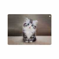 برچسب پوششی ماهوت مدل Cat-2 مناسب برای تبلت اپل iPad 9.7 (GEN 5) 2017 A1823