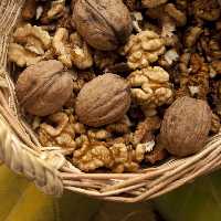 گردو تازه اقلید 1 کیلویی درجه 2