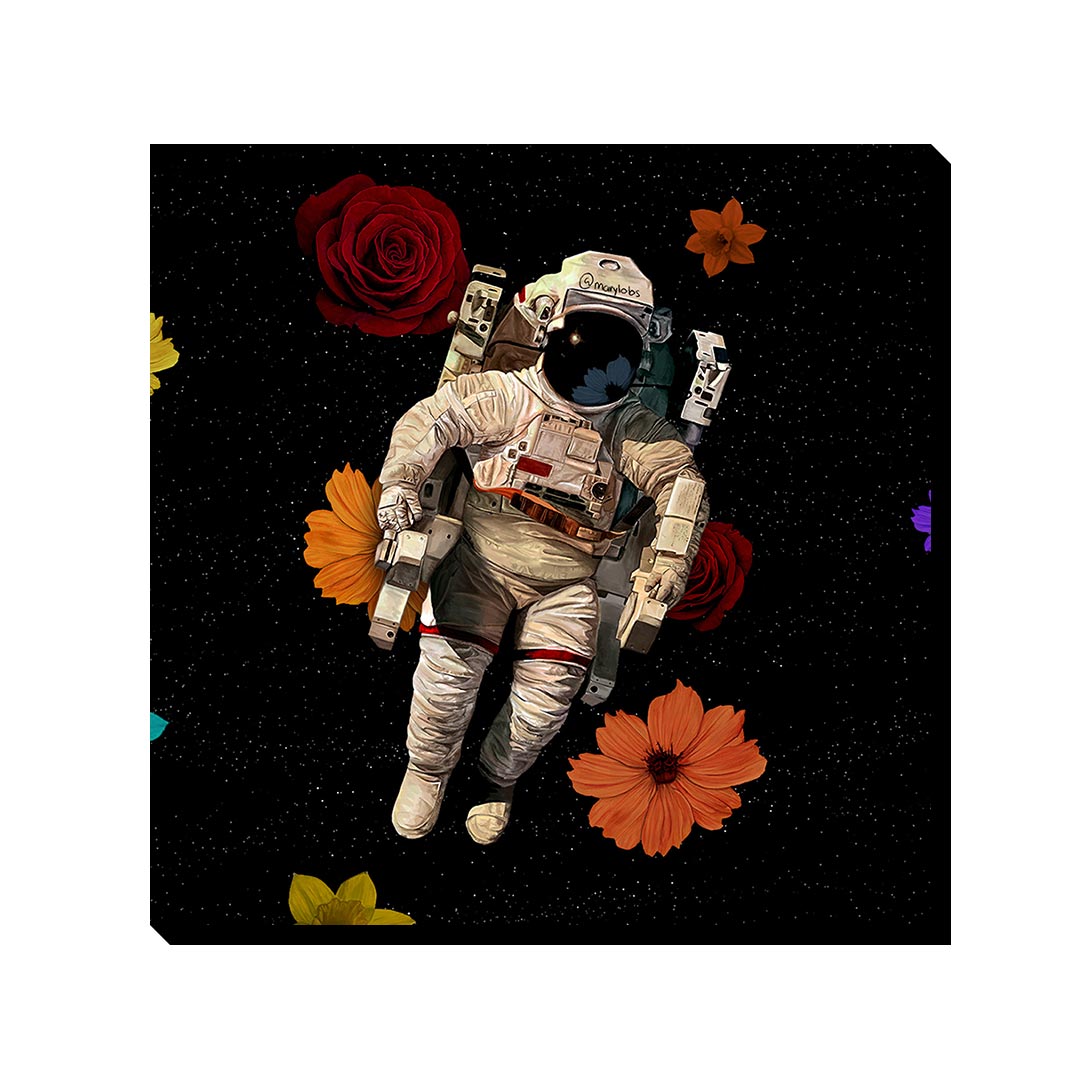 تابلو شاسی مدل فضانورد کد 1494