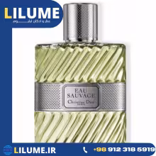 عطر ادکلن دیور او ساواج (ساوج) 100 میل مردانه