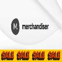 دانلود قالب فروشگاهی وردپرس Merchandiser
