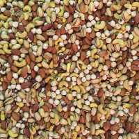 اجیل4مغز 1000 گرم(پسته با پوست)مغز فندق بادام بادام هندی پسته زعفرانی