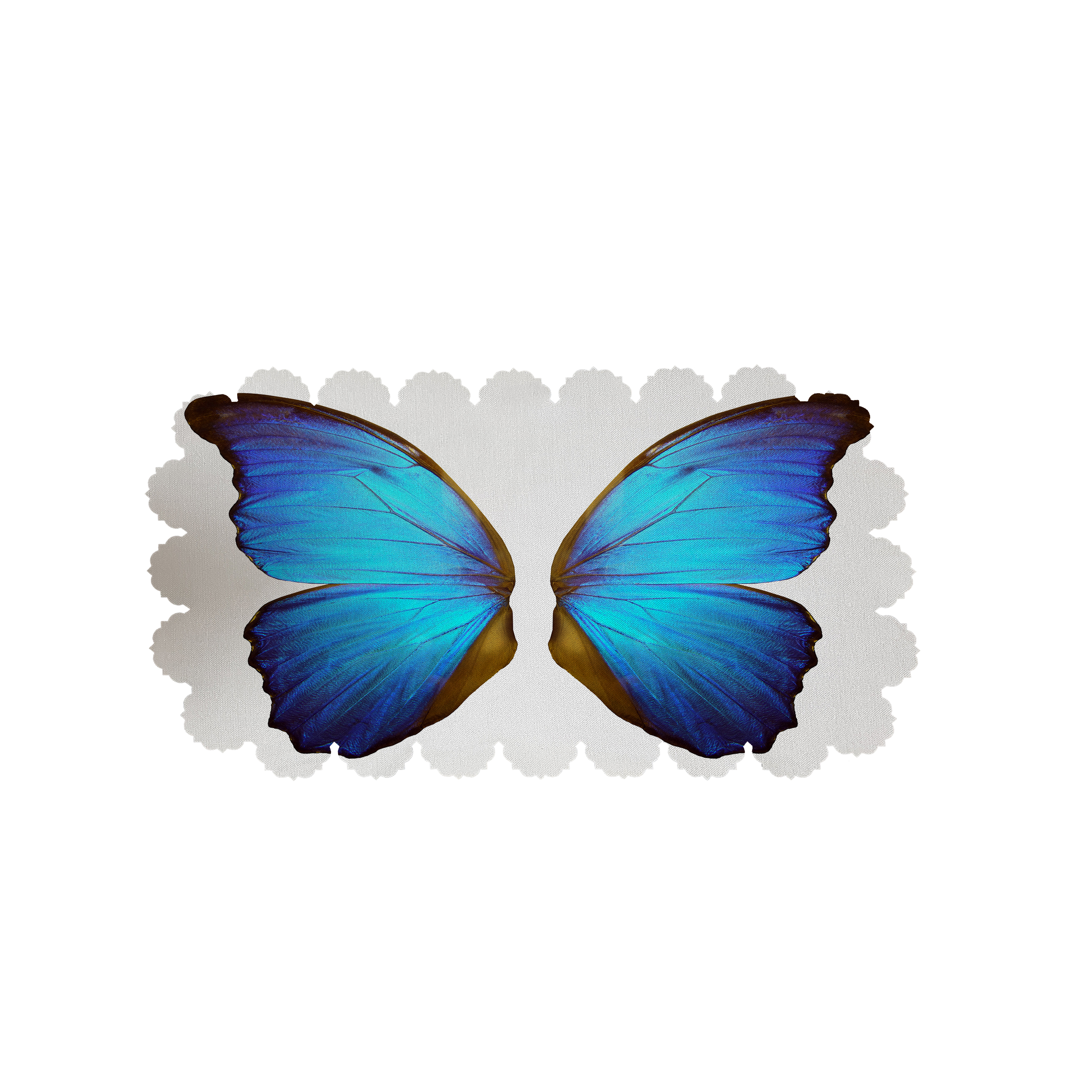 رومیزی مدل پروانه 9153R