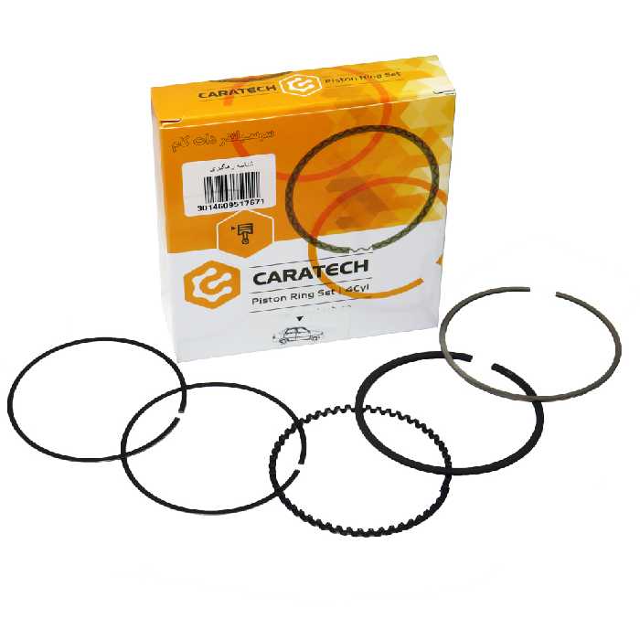 رینگ پیستون پیکان سایز 20 کاراتک