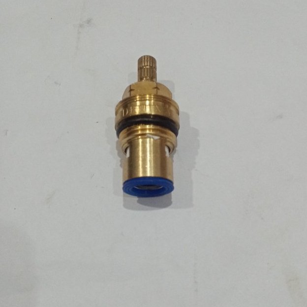 مغزی نیم دور اصلی