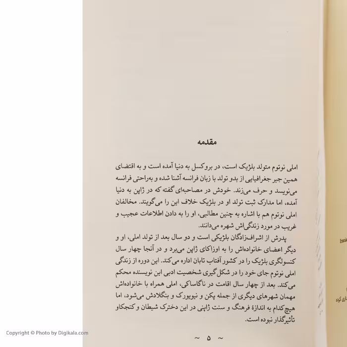 کتاب ریش آبی اثر املی نوتوم نشر نو