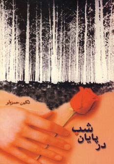 در پایان شب - ناشربوک | خرید آنلاین کتاب