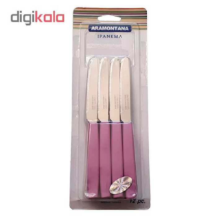 کارد میوه خوری کد 6673 بسته 12 عددی