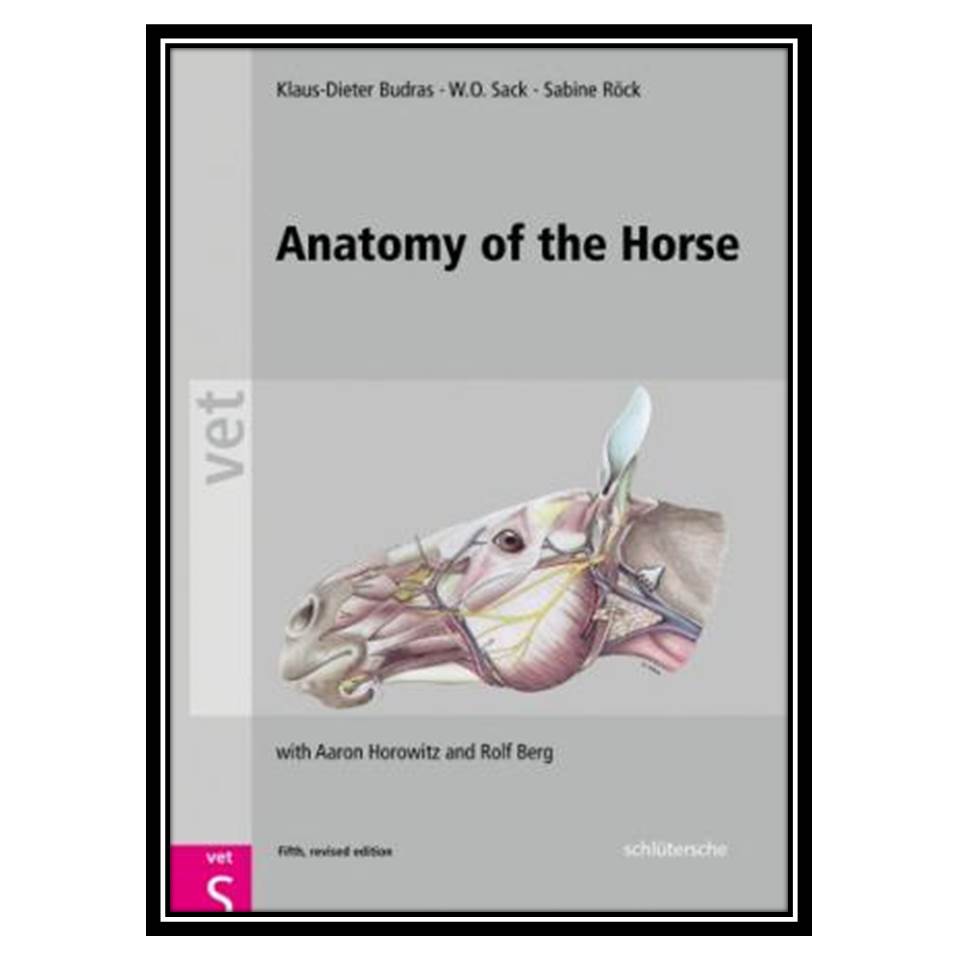 کتاب Anatomy of the Horse: An Illustrated Text اثر جمعی از نویسندگان انتشارات مؤلفین طلایی
