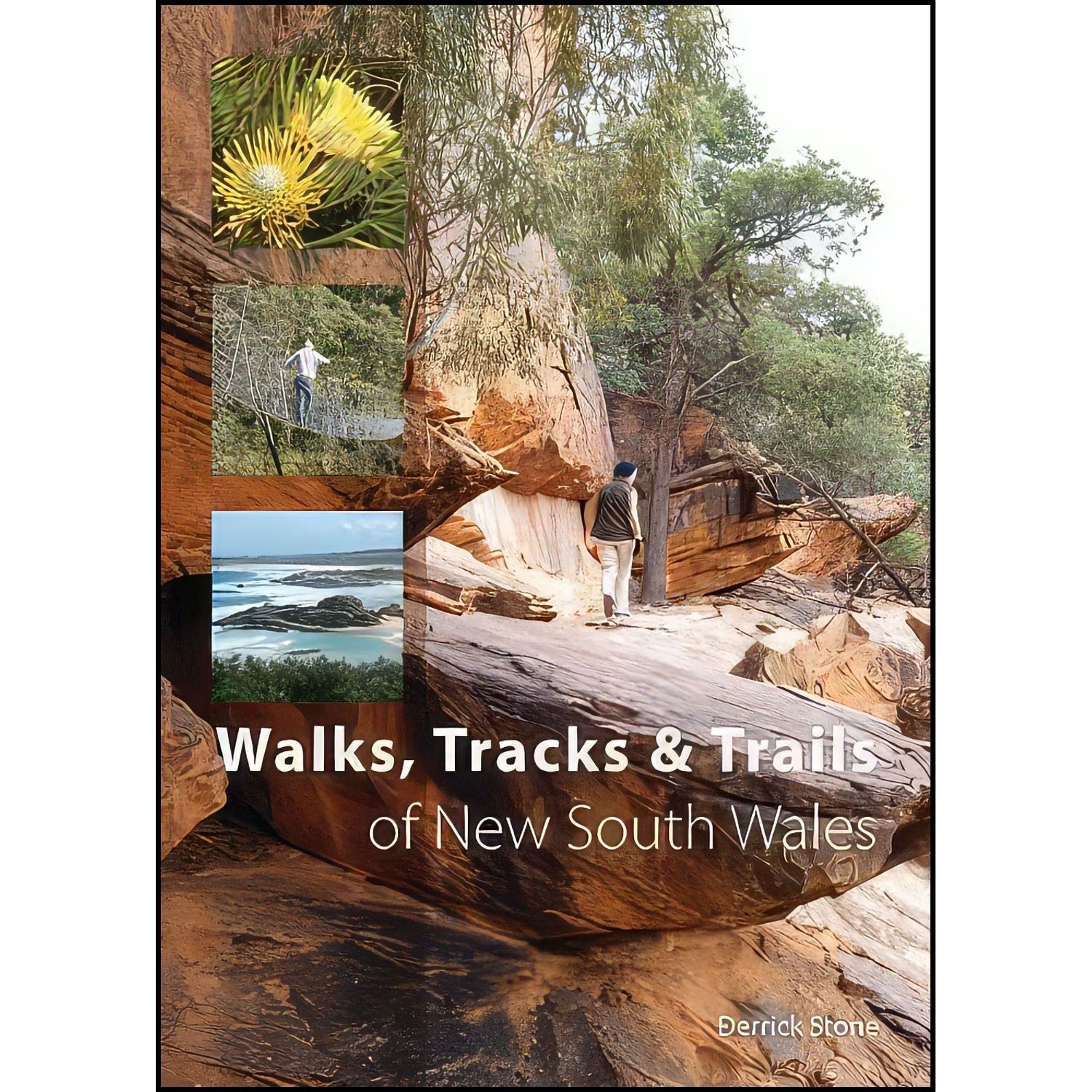 کتاب زبان اصلی Walks Tracks and Trails of New South Wales اثر Derrick Stone