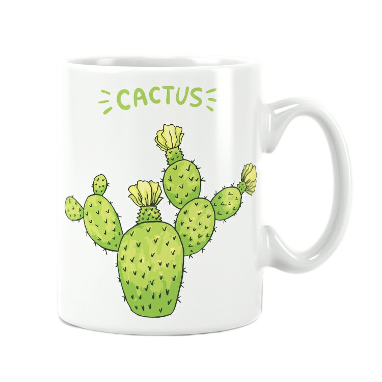 ماگ راویتا طرح کاکتوس مدل 1020