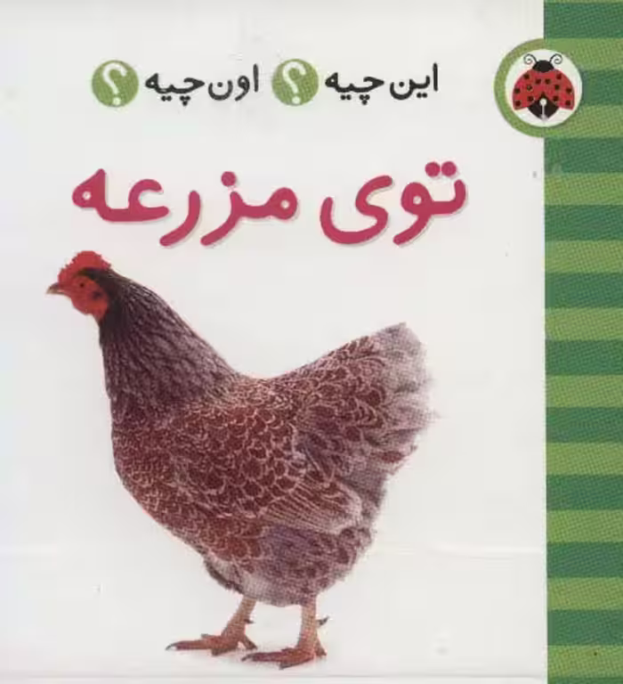 این چیه؟اون چیه؟ (توی مزرعه)،(2زبانه) - ناشربوک | خرید آنلاین کتاب