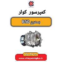 کمپرسور کولر بسترن B50