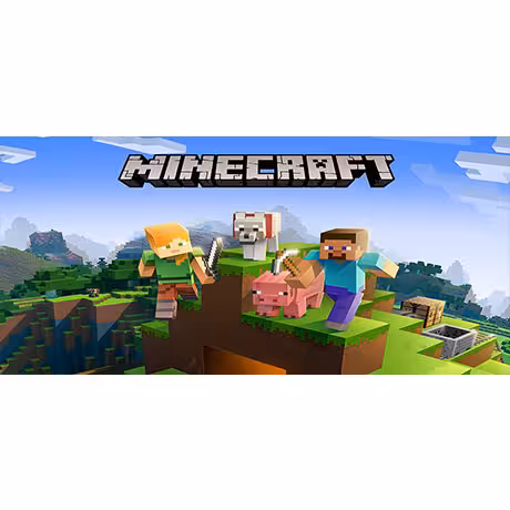 Minecraft JAVA &amp; BEDROCK EDITION