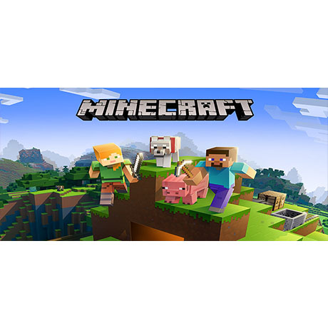 Minecraft JAVA &amp; BEDROCK EDITION