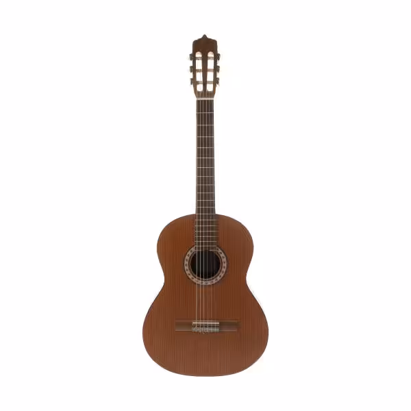 گیتار کلاسیک پارسی مدل M6