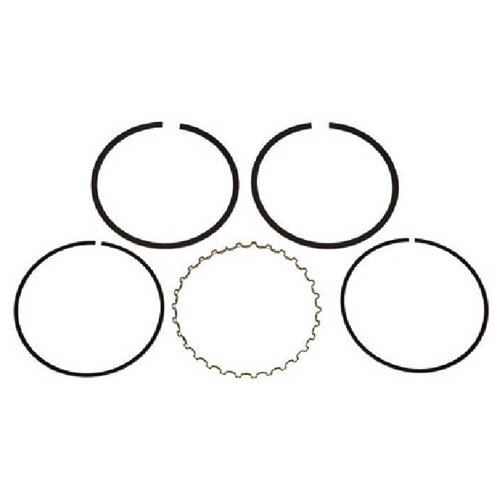 خرید رینگ موتور 030 پیکان آماتا | اتوموبی