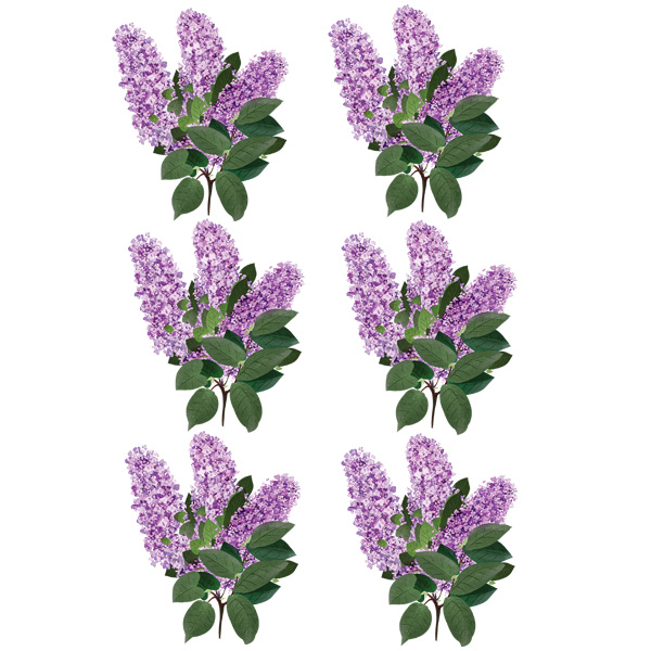 تتو موقت مدل سنبل کد 042