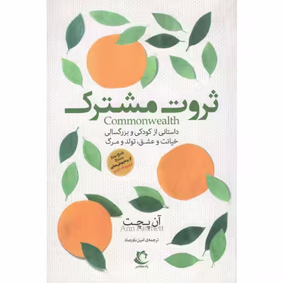 کتاب ثروت مشترک اثر آن پچت انتشارات راه معاصر