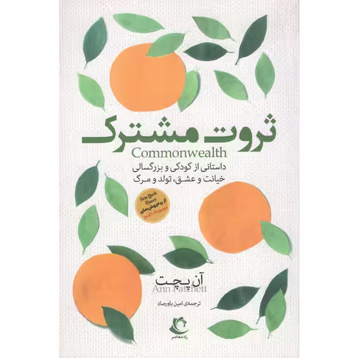 کتاب ثروت مشترک اثر آن پچت انتشارات راه معاصر