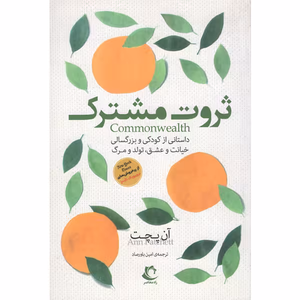 کتاب ثروت مشترک اثر آن پچت انتشارات راه معاصر