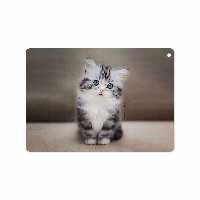 برچسب پوششی ماهوت مدل Cat-2 مناسب برای تبلت اپل iPad 9.7 (GEN 5) 2017 A1822