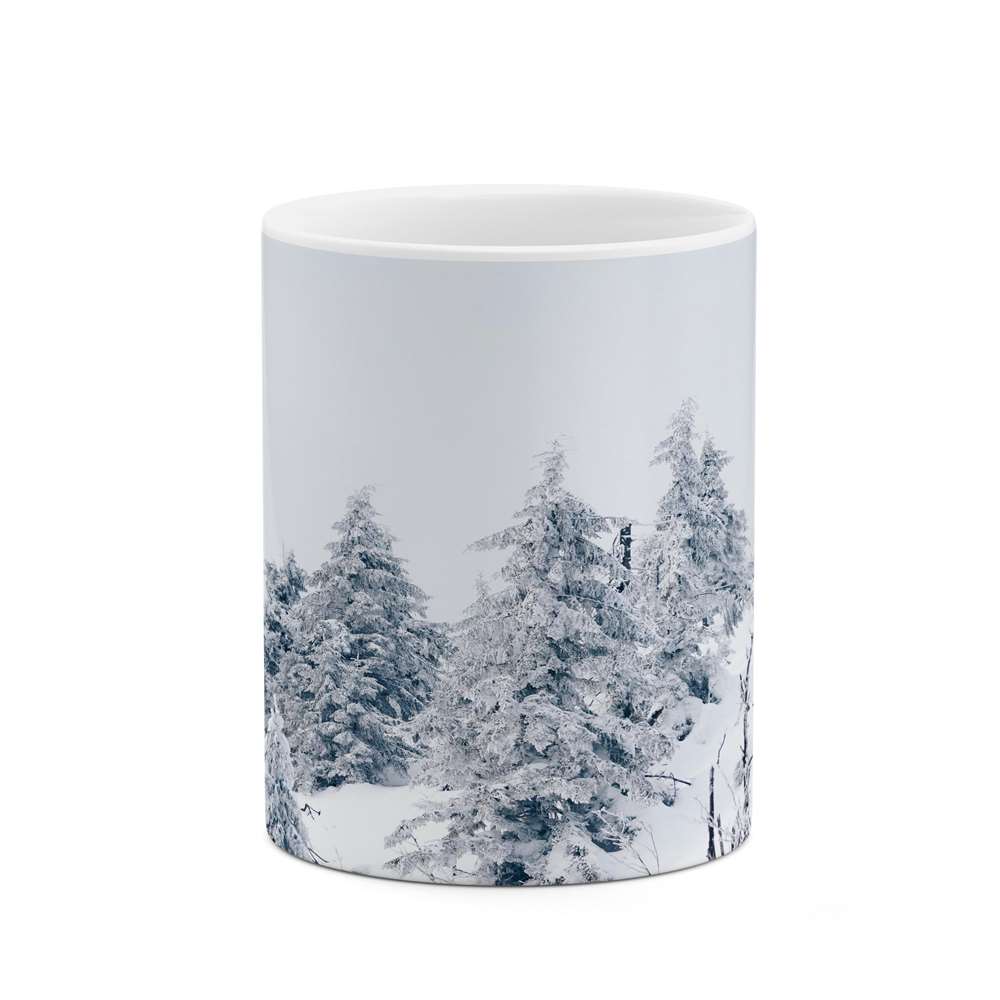 ماگ کاکتی طرح منظره مدل mgs16687