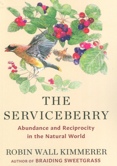 THE SERVICEBERRY:بلوبری بنفش (زبان اصلی،انگلیسی) - ناشربوک | خرید آنلاین کتاب