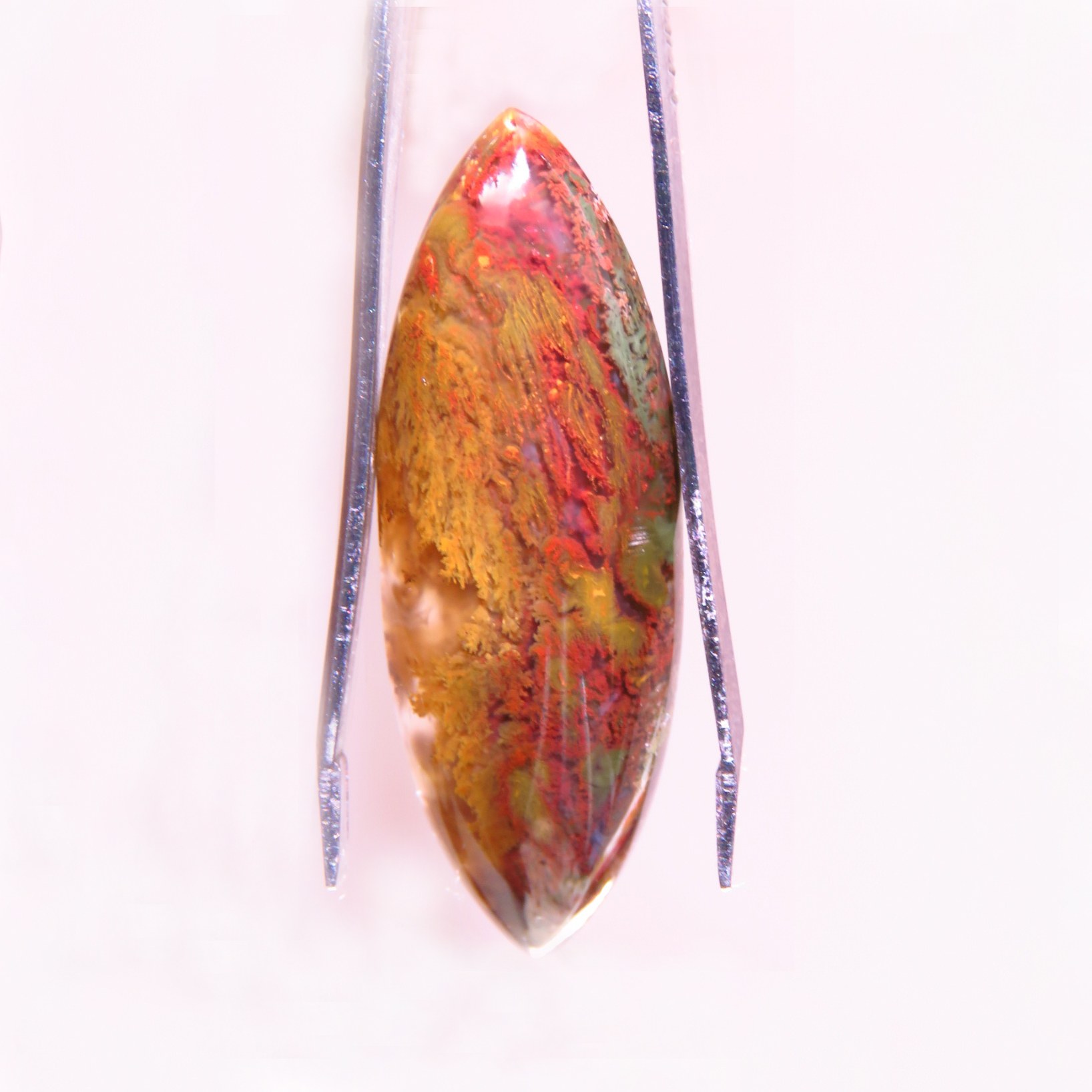 عقیق شجر دریایی طبیعی و اصل تراش مارکیز  منظره جنگل پاییزی کد 1096